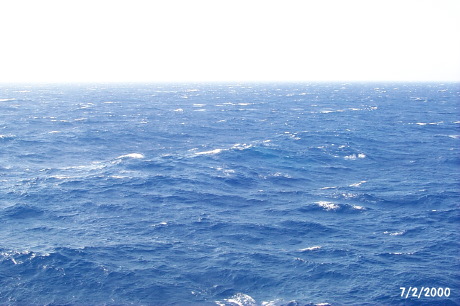 P0001692.JPG