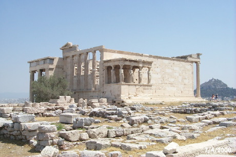 P0001771.JPG