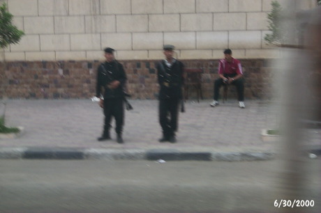 P0001561.JPG