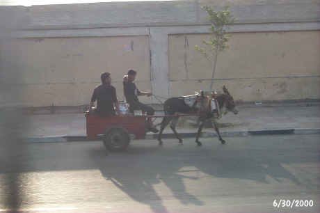 P0001565.JPG