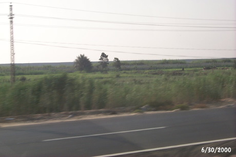 P0001566.JPG