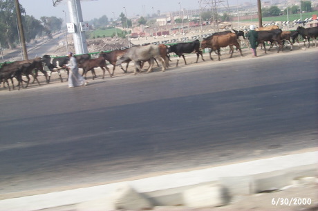 P0001569.JPG
