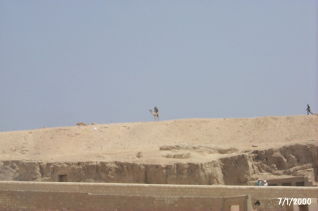 P0001594.JPG
