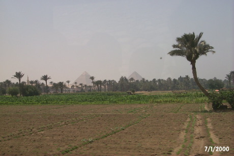P0001610.JPG