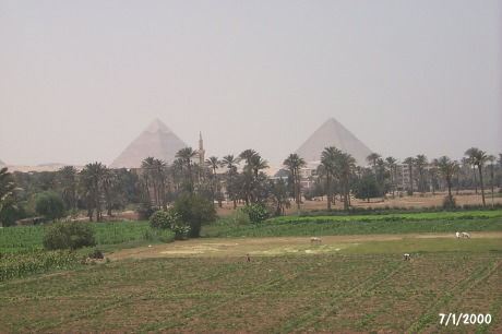 P0001611.JPG