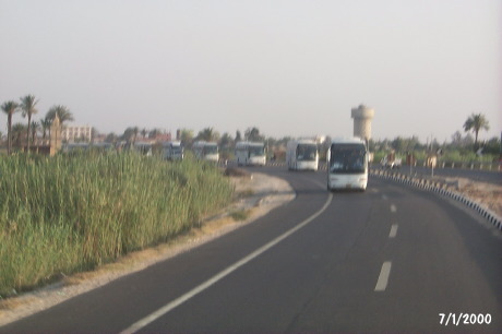 P0001621.JPG
