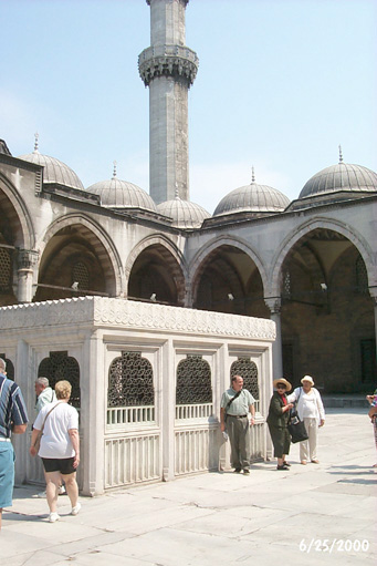 p0001379.jpg