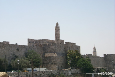 P0001511.JPG