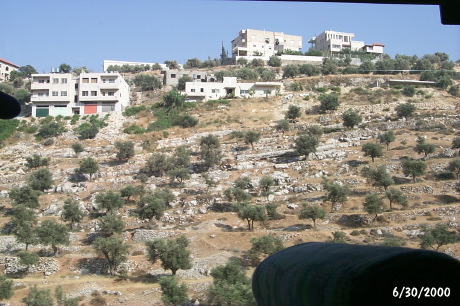 P0001557.JPG