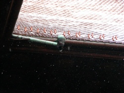DSCF1071.JPG