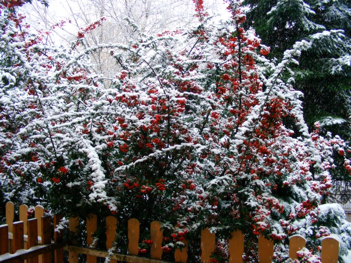 DSCF1002.JPG