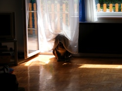 DSCF1005.JPG