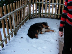 DSCF1010.JPG