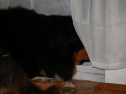 DSCF1018.JPG