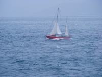 DSCF1141.JPG