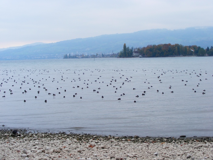 DSCF1331.JPG