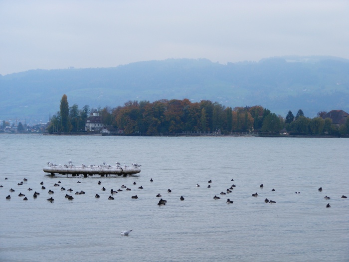DSCF1333.JPG