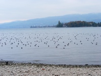 DSCF1331.JPG