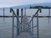 DSCF1347.JPG
