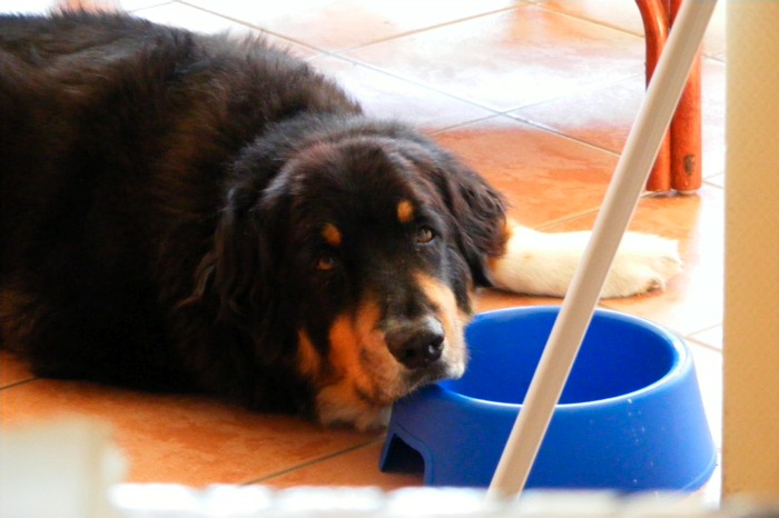 DSCF1007.JPG